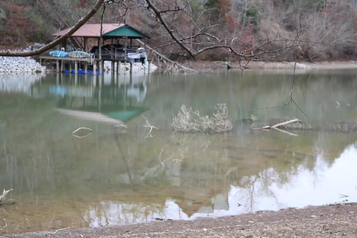 Rockwood, TN 37854,0 Mariners CV