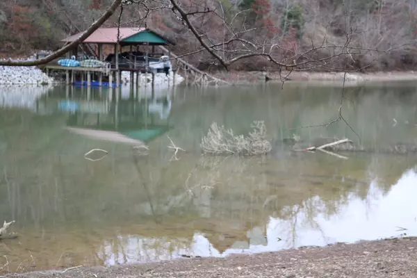 0 Mariners CV, Rockwood, TN 37854