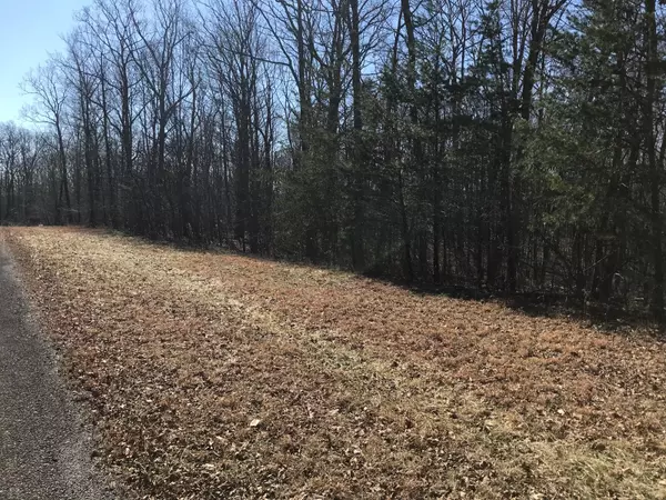 Dunlap, TN 37327,Lot 4 Gray Creek Rd