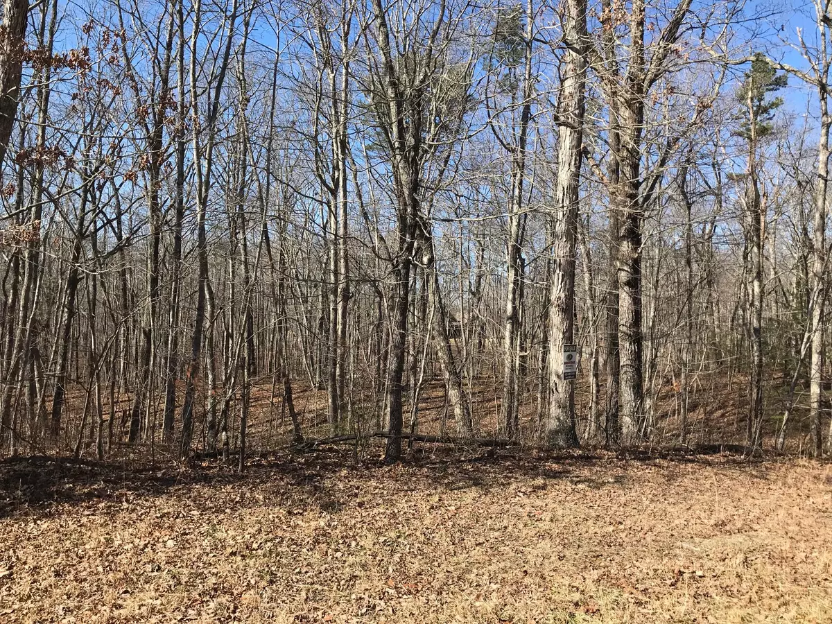 Dunlap, TN 37327,Lot 4 Gray Creek Rd