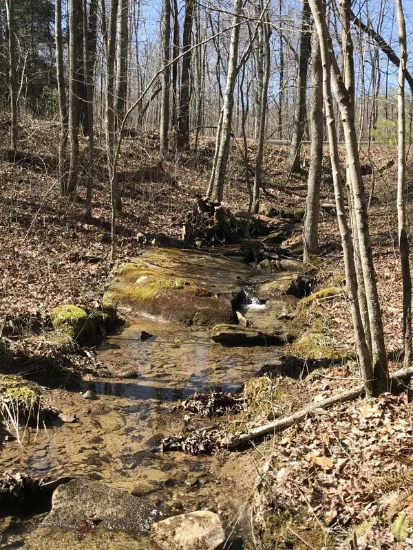 Dunlap, TN 37327,4 Deerhead Rd