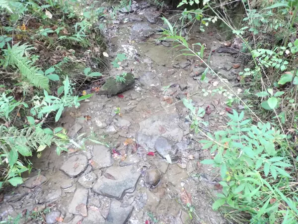 Pikeville, TN 37367,00 Bellview RD