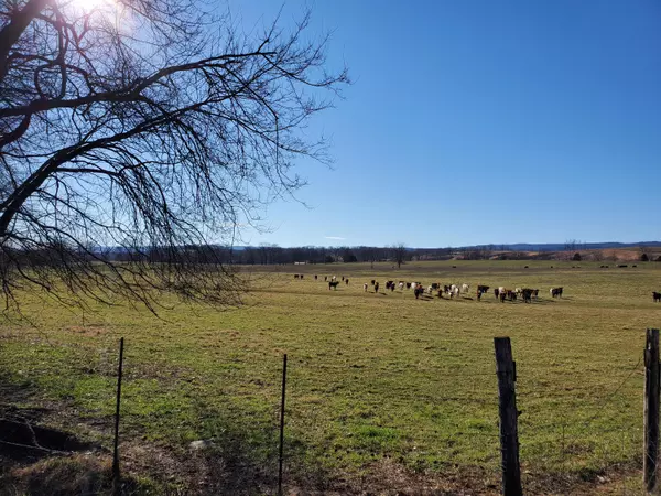 Dunlap, TN 37327,0 Neergaard LN