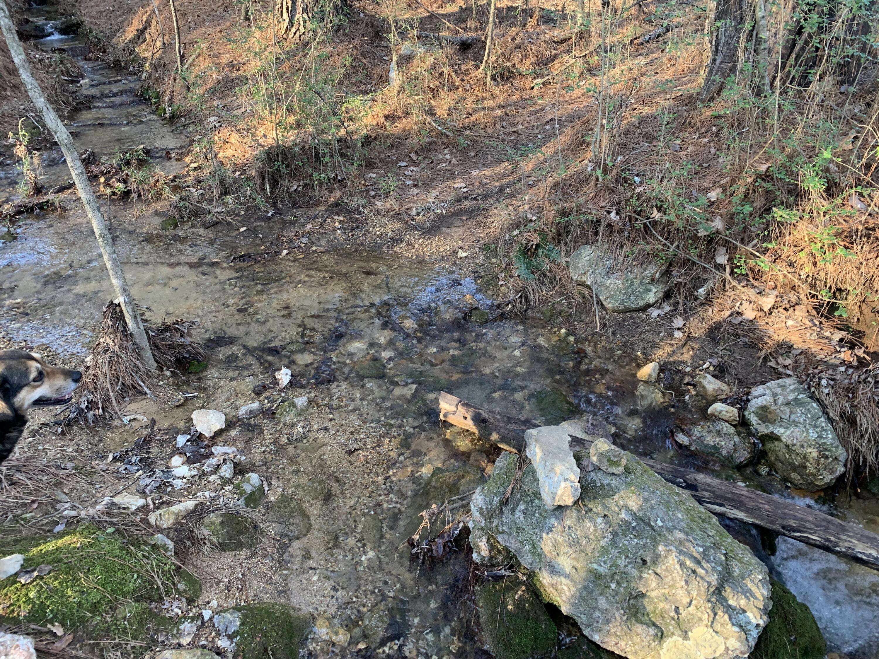 Calhoun, TN 37309,158 County Road 41