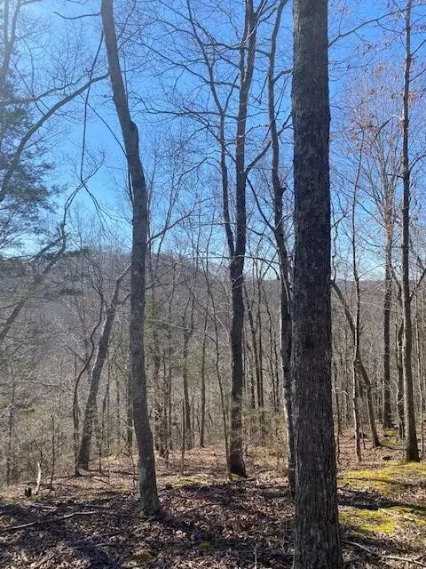 Byrdstown, TN 38549,Lot 4 Reeder Town Road