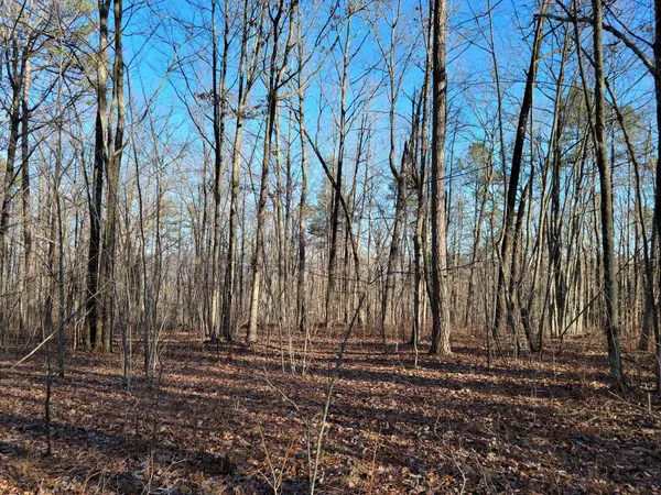 Dunlap, TN 37327,0 Twilight TRL