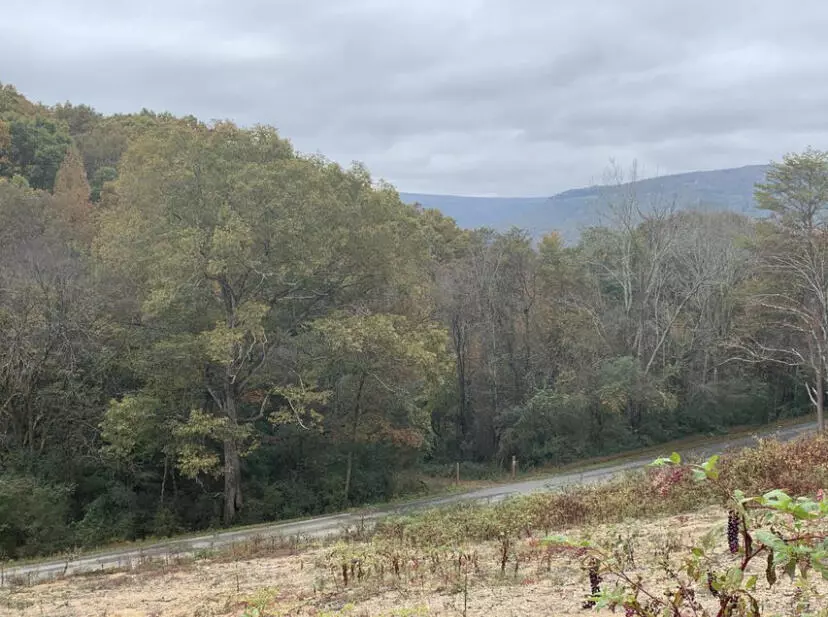 Dunlap, TN 37327,0 Cordell DR