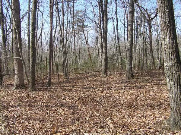 Dunlap, TN 37327,Lot 24 Gray Creek RD