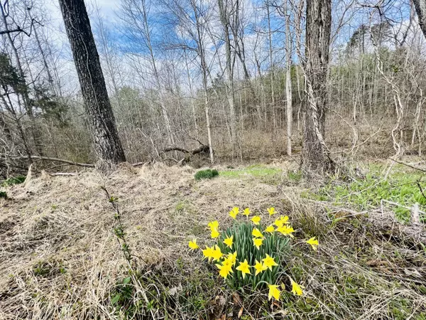 69 Georgia 136, Trenton, GA 30752