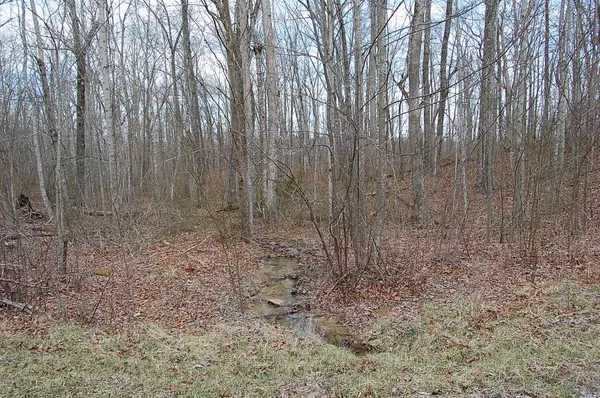 Dunlap, TN 37327,13 Green Forest RD