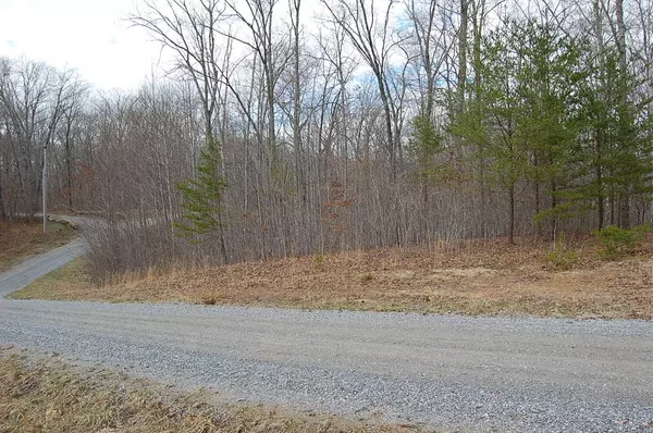 Dunlap, TN 37327,13 Green Forest RD