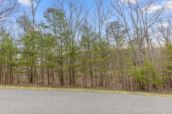 Rising Fawn, GA 30738,0 Stewart LN