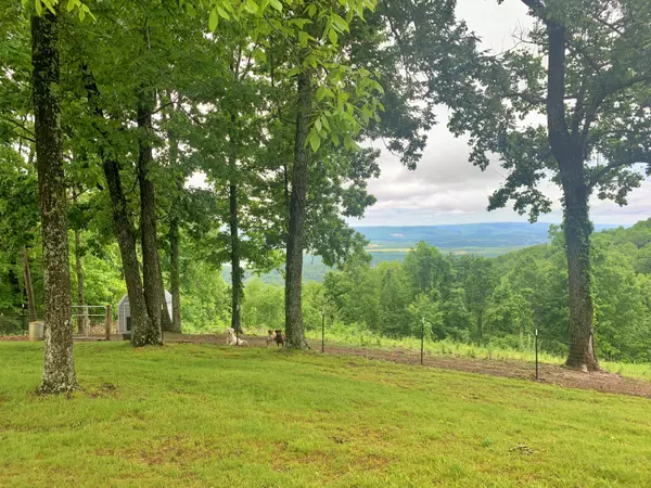 Bryant, AL 35958,9787 Alabama Hwy 73