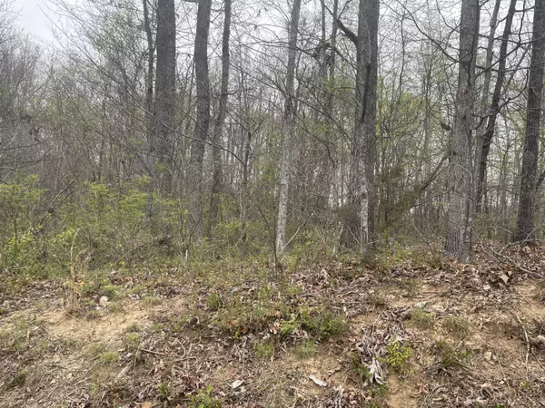 Morristown, TN 37814,Lot 4 Wooddale RD