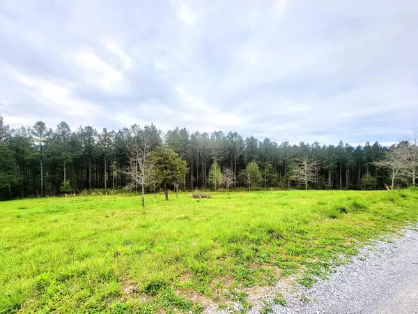 Delano, TN 37325,00 Hiwassee Trail DR