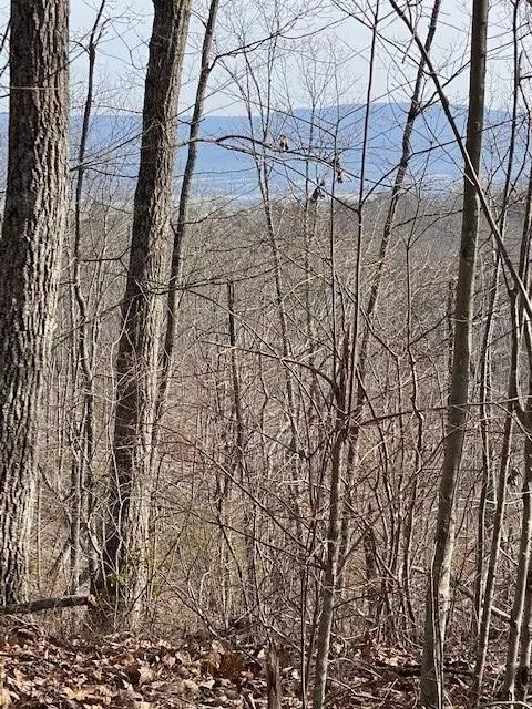 Pikeville, TN 37367,81 Keener Hill Road