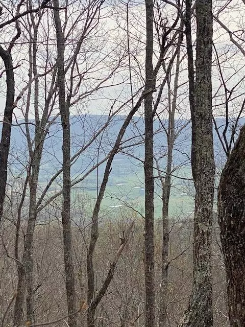 Pikeville, TN 37367,81 Keener Hill Road