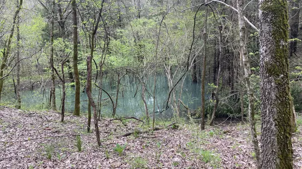 Fayetteville, TN 37334,0 Massey Hollow RD