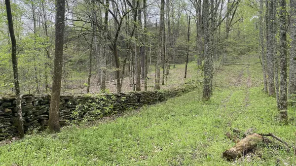 Fayetteville, TN 37334,0 Massey Hollow RD