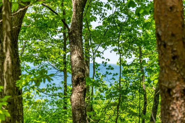 Lookout Mountain, GA 30750,Lot 8 Scenic HWY