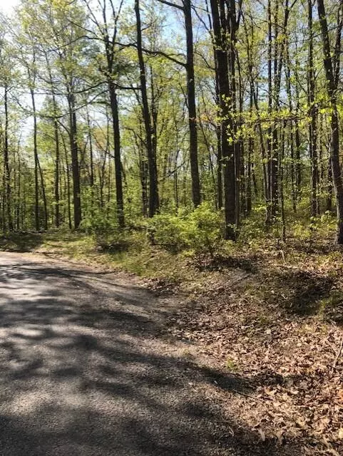 Signal Mountain, TN 37377,715 Walden View RD