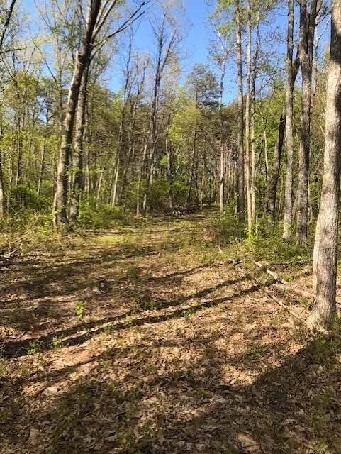 Signal Mountain, TN 37377,715 Walden View RD