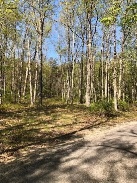 Signal Mountain, TN 37377,715 Walden View RD