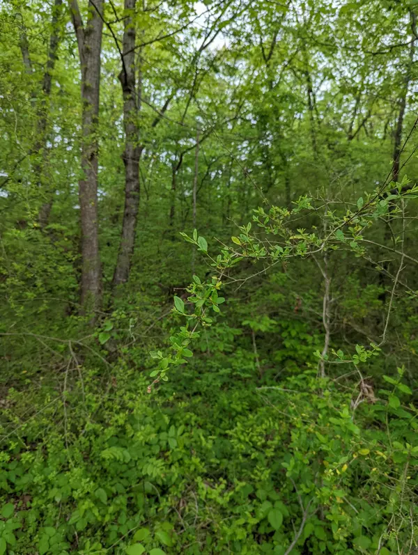 Dunlap, TN 37327,2.2 Cooley RD