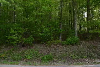 Ten Mile, TN 37880,335 Branham Hollow RD