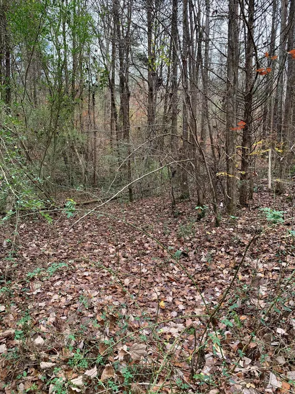 Whitwell, TN 37397,21.77 Bailey Lane
