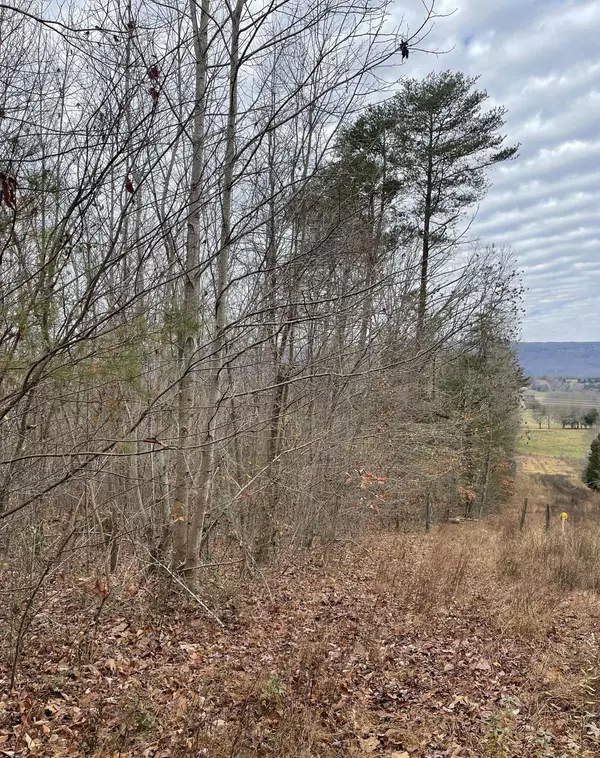 Whitwell, TN 37397,21.77 Bailey Lane
