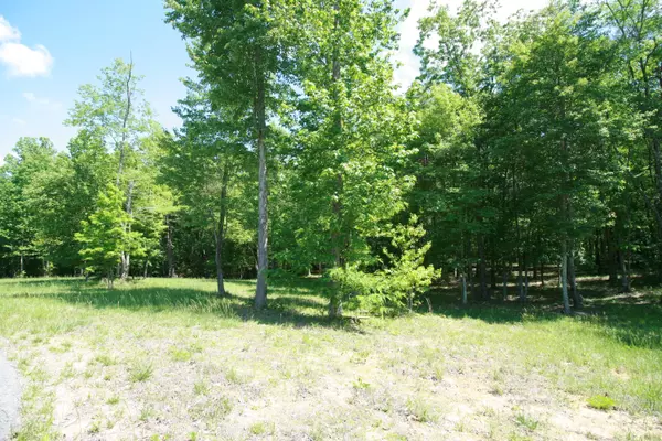 Jasper, TN 37347,284 Jasper Creek CT