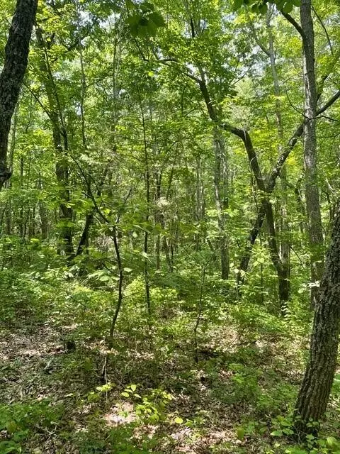 Altamont, TN 37301,Lot 4 North Campbell Road