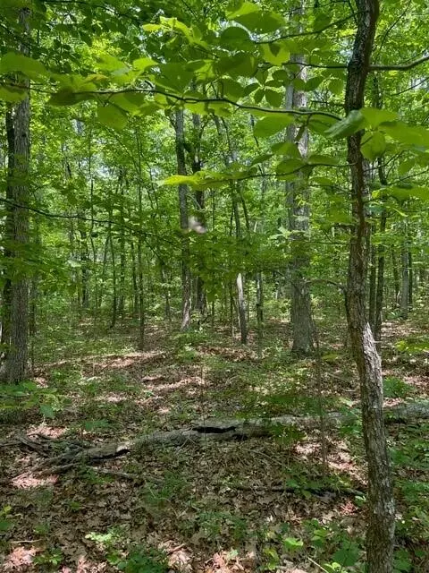 Altamont, TN 37301,Lot 4 North Campbell Road