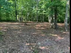 Dunlap, TN 37327,0 Forest View LN