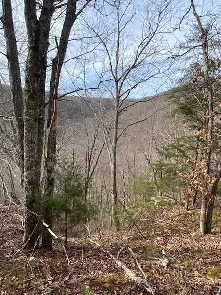 Lot 2 Keener Hill Road, Pikeville, TN 37367