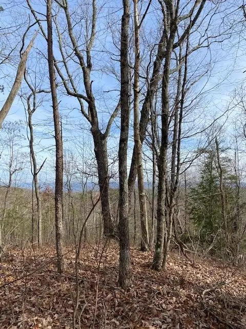 Pikeville, TN 37367,Lot 2 Keener Hill Road