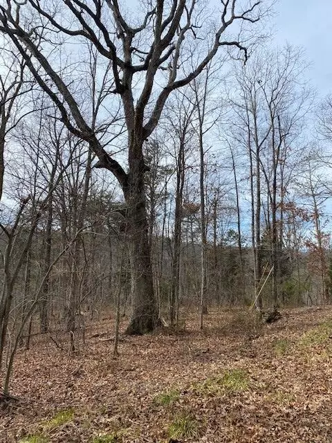 Pikeville, TN 37367,Lot 2 Keener Hill Road