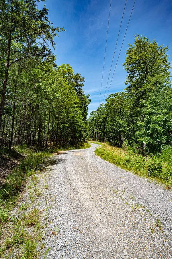 Cloudland, GA 30731,3 Pennington PT