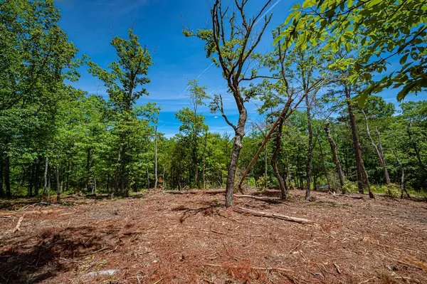 Cloudland, GA 30731,3 Pennington PT