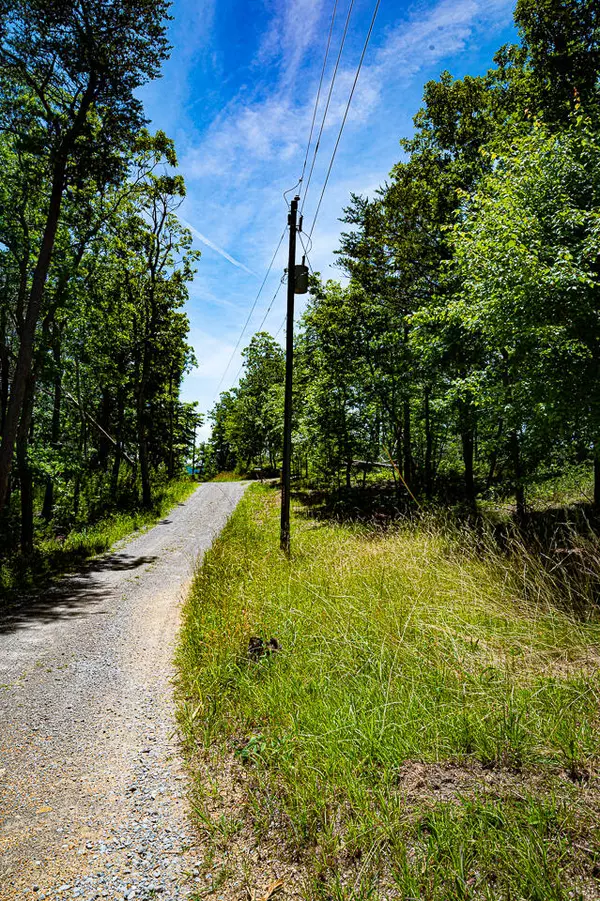 Cloudland, GA 30731,3 Pennington PT