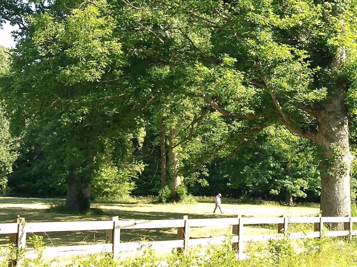 Sewanee, TN 37375,1655 Midway RD