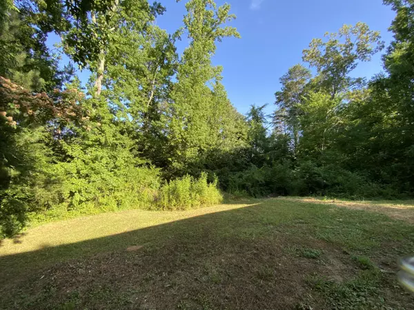 Mcdonald, TN 37353,359 Baugh Springs TRL