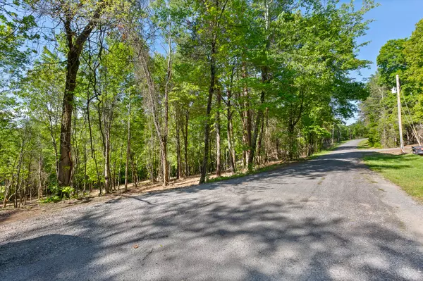 Spring City, TN 37381,Lot 12 Piney View DR