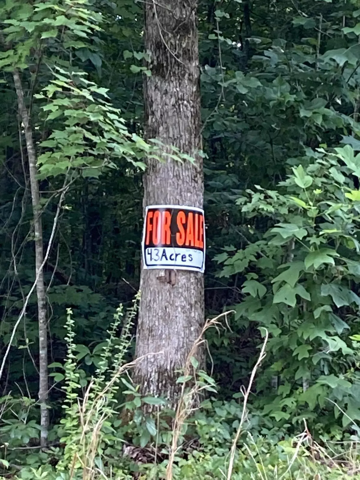 Whitwell, TN 37397,0 Deer Ridge Estates RD
