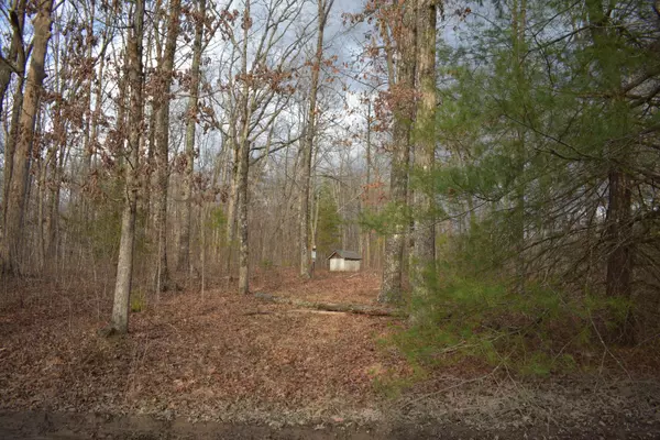 Crossville, TN 38555,Lot #41 Sharon CIR