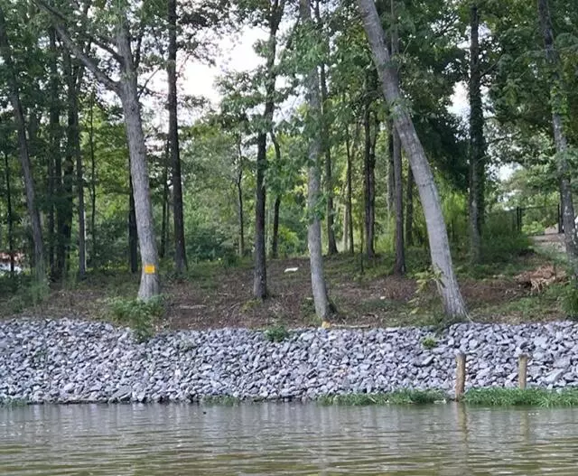 Lot 44 County Rd 513, Centre, AL 35960