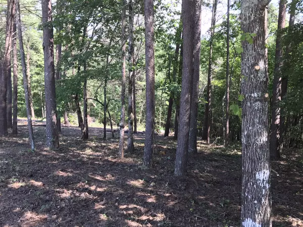 Dunlap, TN 37327,16 Countryside Dr