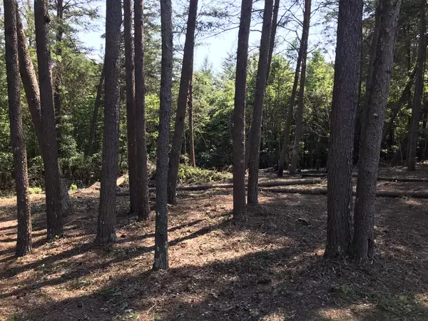 Dunlap, TN 37327,16 Countryside Dr