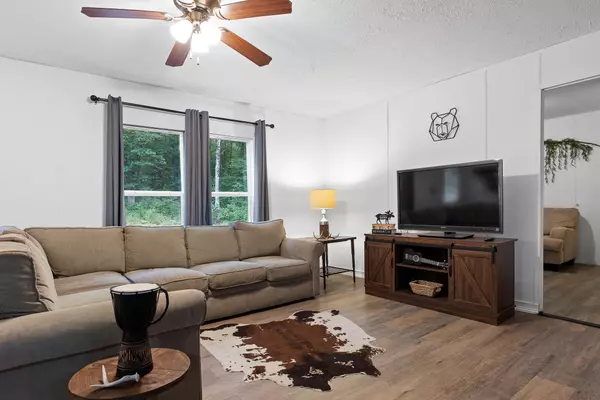 Rising Fawn, GA 30738,478 Kenneth Massey DR